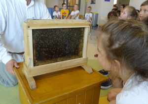 Dzieci obserują pszczoły
